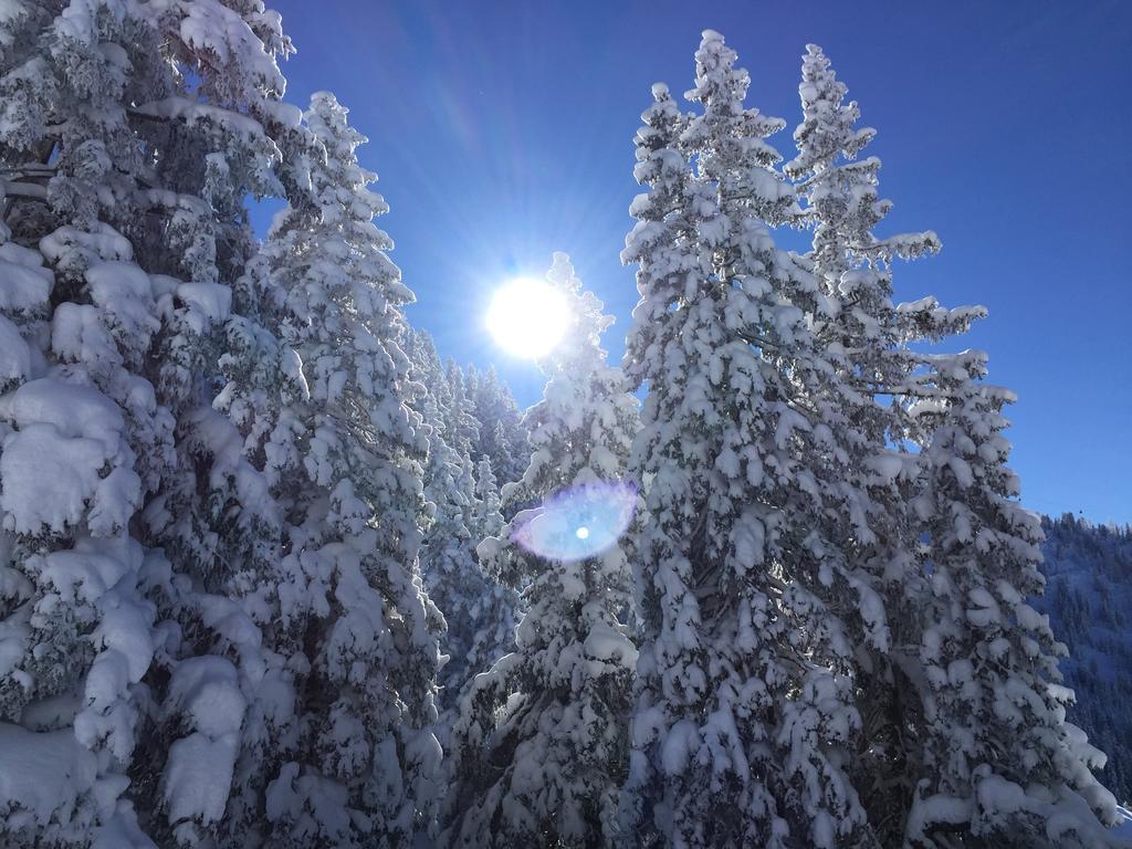 Das Juwel Reith Reith im Alpbachtal Eksteriør bilde